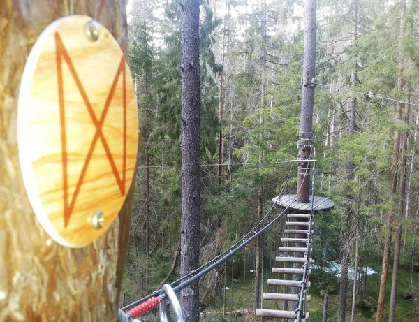 Rope park in a pine forest. Rope track for passage at height. DAGAZ - The Rune of Transformation, means day, essence of natural daylight, the new light of dawn, and the strength of the sun. Spiritually, it is the divine light,brightness, growth, prog