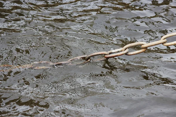 Vecchia Catena Metallo Arrugginito Che Fissa Pontile Sulla Riva Del — Foto Stock