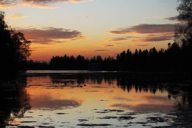Gece manzarası - gölün üzerindeki akşam güneşinin batışı ağaçların siluetlerini yansıtır.