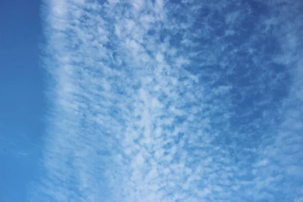 Ogromne Białe Cumulus Chmury Tle Błękitnego Nieba Wiosną — Zdjęcie stockowe