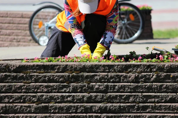 Una mujer de los paisajes de servicio urbano está plantando flores. — Foto de Stock