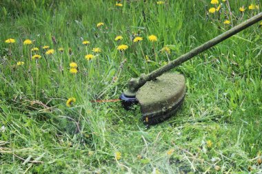 Bir budama makinesi ile çim biçen bir işçi.