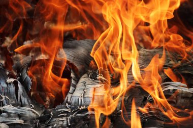 Eski kontrplak güzel bir şekilde yanar. Doku külünün oluşumuyla birlikte..