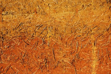 Arpa kamışından yapılmış bir kerpiç evinin duvar dokusu ve iki çeşit kil..