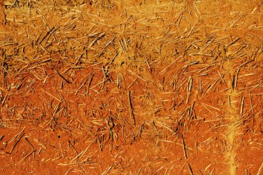 Arpa kamışından yapılmış bir kerpiç evinin duvar dokusu ve iki çeşit kil..