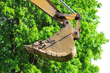 Yeşil yeşillik bir ağacın çerçevede bir kova Ekskavatör.