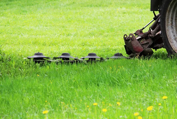 Tractor Special Attachment Automatically Mows Grass Dandelions Urban Lawn — Stock Photo, Image