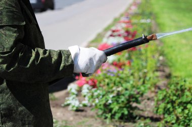 St. Petersburg şehrinde çimleri ve çiçekleri çiçeklerle sulayan şehir işçisi.