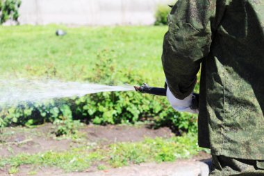 St. Petersburg şehrinde çimleri ve çiçekleri çiçeklerle sulayan şehir işçisi.