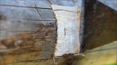 Gecikme, Rusya için bir balta kullanarak el ile yerde planlanmaktadır giderme ışın bir oluk yapma.