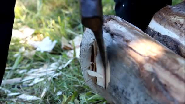 Fabricación de la viga para el tablero de llanta, a la que se planea el piso con la ayuda de un hacha manualmente, Rusia . — Vídeo de stock