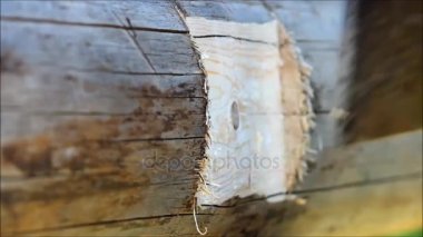 Gecikme, Rusya için bir balta kullanarak el ile yerde planlanmaktadır giderme ışın bir oluk yapma.