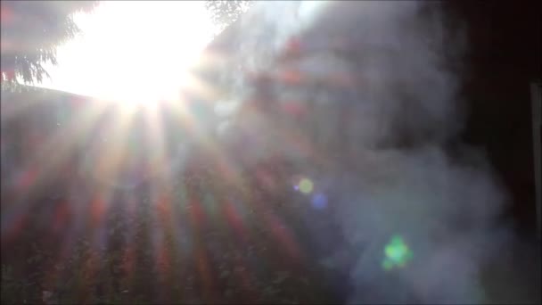 Білий дим з вогню, комахи і вечірнє сонце . — стокове відео