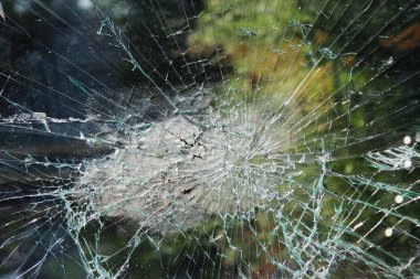 Vandallar şehirde otobüs durağında cam kırdı