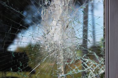 Vandallar şehirde otobüs durağında cam kırdı