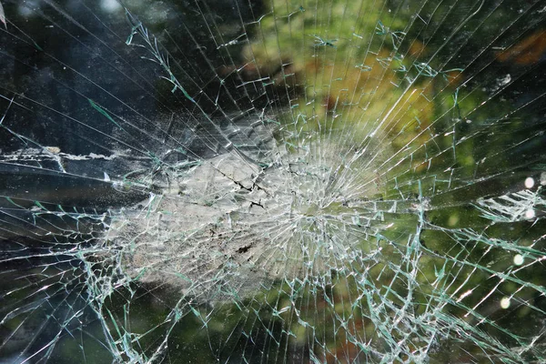 Vandallar şehirde otobüs durağında cam kırdı