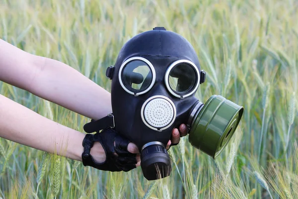 Газова маска навпроти пшеничного поля. Концепція екологічної катастрофи — стокове фото