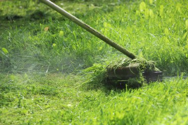 Bir budama makinesi ile yeşil çim biçen bir işçi.