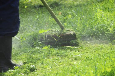 Bir budama makinesi ile yeşil çim biçen bir işçi.
