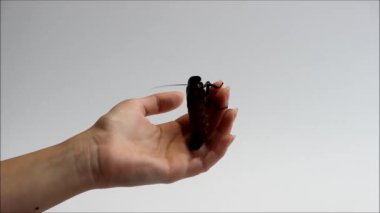 14 yıllık deneyime sahip Bulgar usta çömlekçi çarkında kil merkezi kuruyor