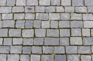 Rusya 'nın Kronstadt kentindeki Anchor Meydanı' nda yeşil çimenli tarihi kaldırımlar.