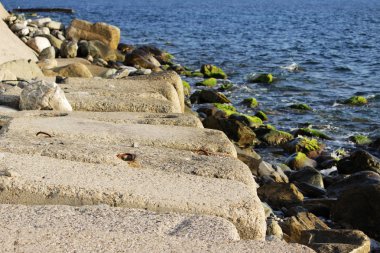 Kıyıyı erozyondan korumak için büyük beton dikdörtgen bloklar denizde yatıyor. Demiryolu raylarının kapatılması.