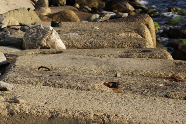 Kıyıyı erozyondan korumak için büyük beton dikdörtgen bloklar denizde yatıyor. Demiryolu raylarının kapatılması.