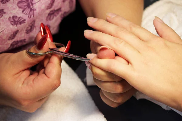 Manicurist Training Courses Manicure Prepares Hand Lady Client Manicure Scissors — Stock Photo, Image