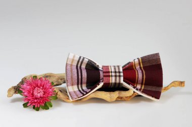 Kompozisyon: Abartılı kırmızı kareli kravat, küçük çiçek pembe aster ve tahta sopa eğri üzerinde beyaz bir arka plan.