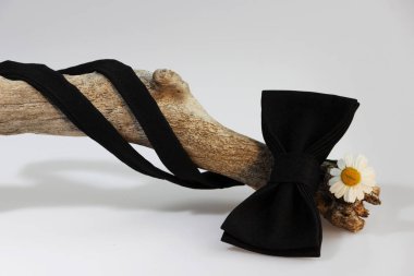 Kompozisyon: Abartılı siyah resmi klasik papyon, küçük krizantem çiçek papatya ve tahta sopa eğri üzerinde beyaz bir arka plan benzer.