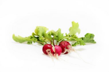 ve bunlardan biri bir overabundance toprak nemi sonucu kırık beyaz bir arka plan üzerinde üç küçük turp