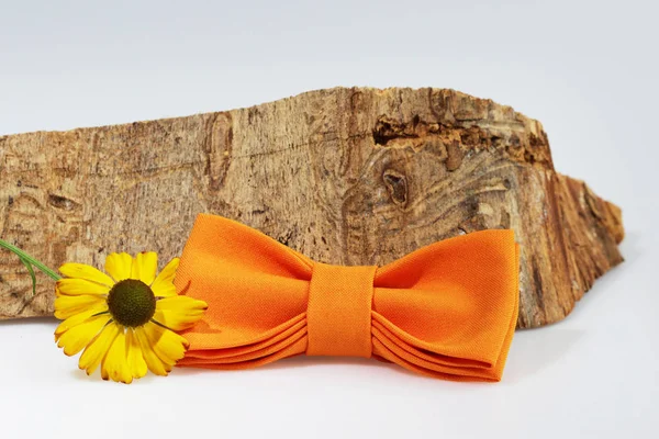 Složení Extravagantní Oranžový Motýlek Žlutý Květ Kus Řeziva Bílém Pozadí — Stock fotografie