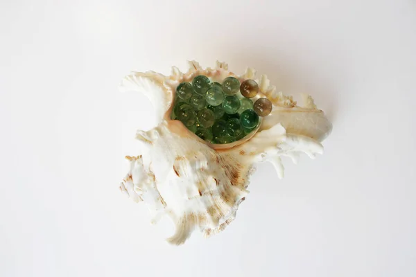 Красота Морской Скорлупы Много Стеклянных Шаров Белом Фоне — стоковое фото