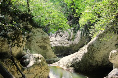 Kanyon şeytanın kapısı. Hosta nehir. Krasnodar bölgesi. Burada bir antik Kolkhida orman önceden buzul bir dönem flora ile büyür.