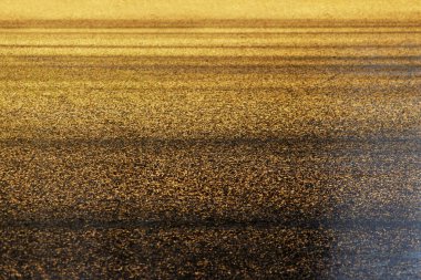 ince buz gölde iğne larch üzerinden altın bir tabaka ile kaplı. erken kış.