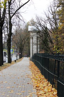 kaldırım döşeme, sonbaharda akçaağaç yaprakları ile kaplı bir kafes ile kaldırım.