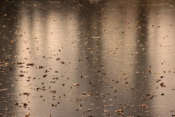 Hielo delgado en el lago, cubierto de hojas de roble. principios del invierno . —  Fotos de Stock