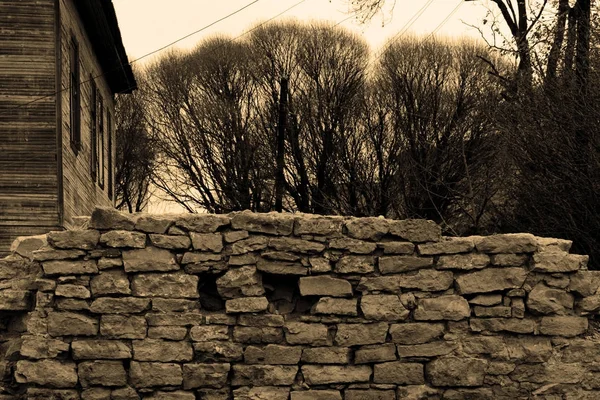 Historisches Mauerwerk in Form einer maroden Mauer und Bäumen. Sepiafarbe. — Stockfoto