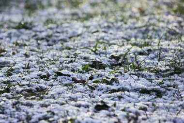 taze ilk beyaz kar kış çim yüzeyinde açık