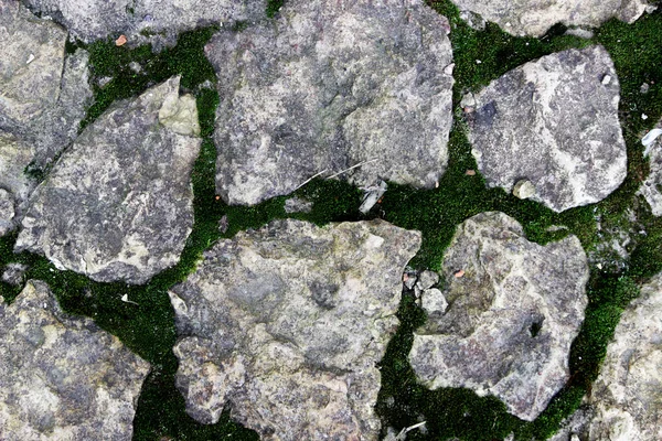 Die Textur großer Steine auf dem Boden, deren Nähte mit grünem Moos überwachsen sind — Stockfoto