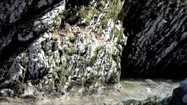 Rusya, Krasnodar bölgesi, Khostinsky bölgesi üst Khosty nehir ulaşır. Kanyon Beyaz kayalıklar, Navalishinsky vadide bulunan.