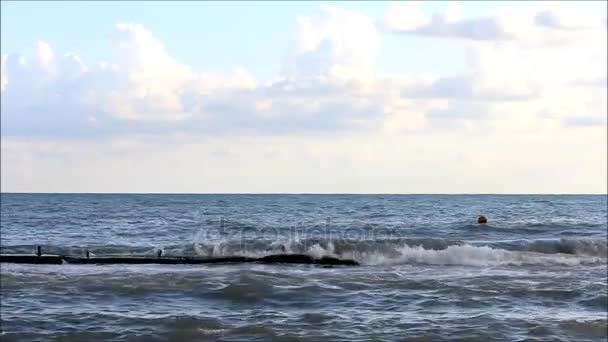 The sea waves are beating against the protective coastal structure for their repayment in the storm. The Black Sea, the city of Khosta, Russia, 2017 — Stock Video