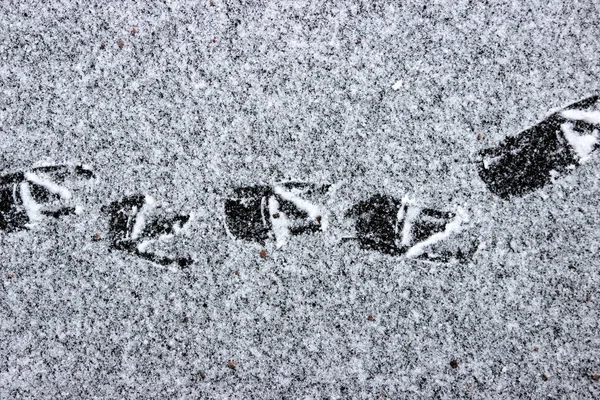 氷と雪の薄層で覆われて 湖の表面にアヒルの足跡 — ストック写真