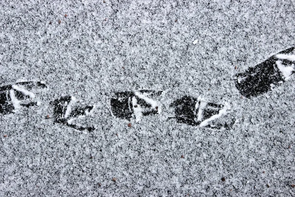 Empreintes Canards Surface Lac Recouverts Une Fine Couche Glace Neige — Photo