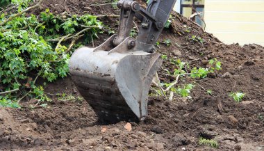 Ekskavatör kepçe dünyanın şehir anıt inşaat sitenin etrafında yayılır. Gatchina, Rusya Federasyonu. Kırık ağacın akçaağaç.