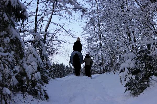 Passeio Cavalo Cavalo Floresta Inverno Com Uma Escolta Cavalo Está — Fotografia de Stock