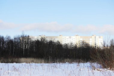 Şehirler doğaya saldırır. Orman alanı yavaş yavaş kentsel evler tarafından inşa edilmiştir