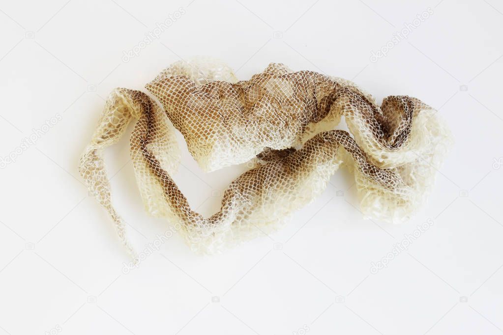 jacket cast-off skin of snake Royal Python on a white background