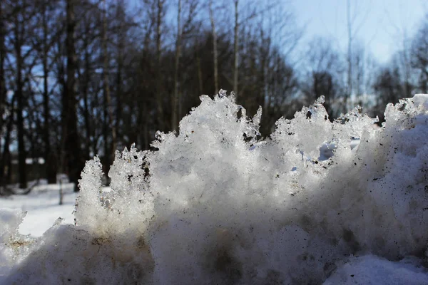 melting dirty snow piled up by a bunch after cleaning the road. Spring.