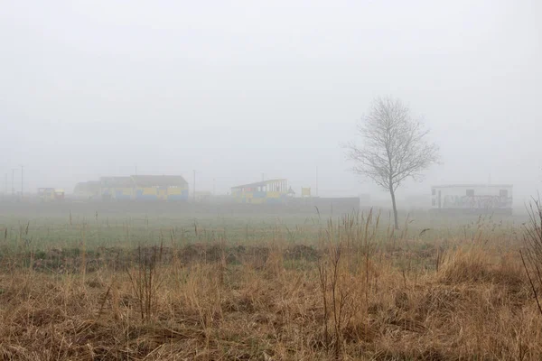 Un petit arbre solitaire et des maisons dans le brouillard dans un terrain vacant au printemps tôt le matin . — Photo